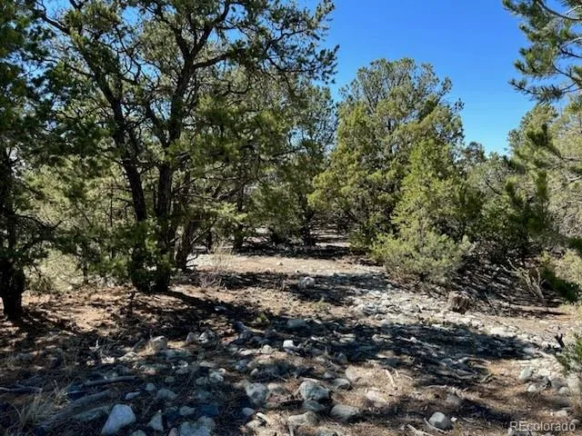 15 Mill Run Road Mosca, CO 81146