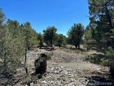 15 Mill Run Road Mosca, CO 81146