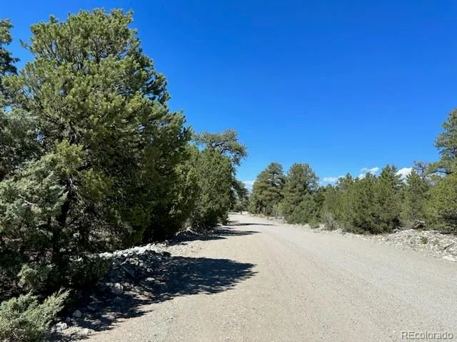 15 Mill Run Road Mosca, CO 81146