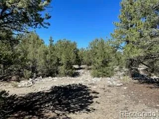 15 Mill Run Road Mosca, CO 81146