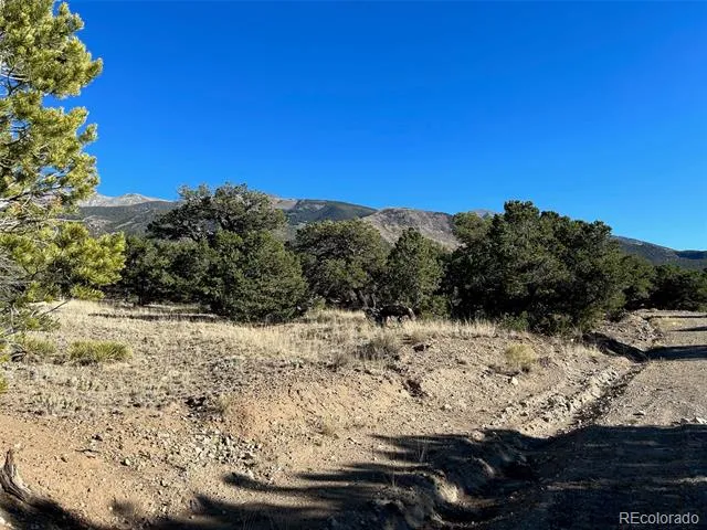 103 Indian Hill Road Mosca, CO 81146