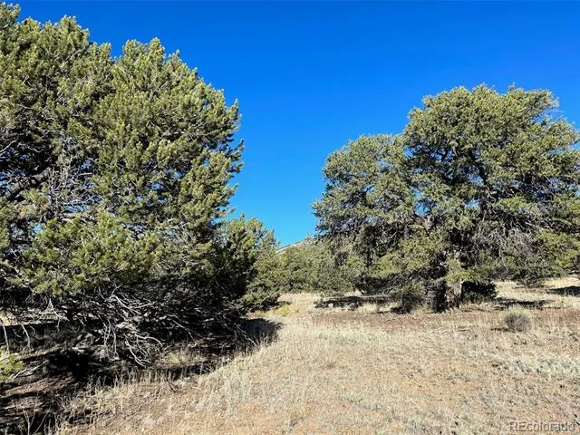 103 Indian Hill Road Mosca, CO 81146