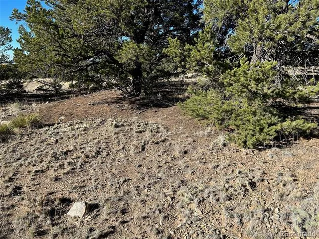 103 Indian Hill Road Mosca, CO 81146