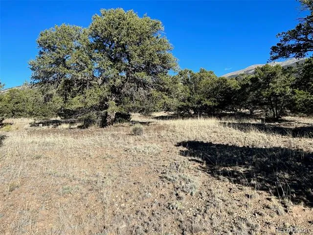 103 Indian Hill Road Mosca, CO 81146
