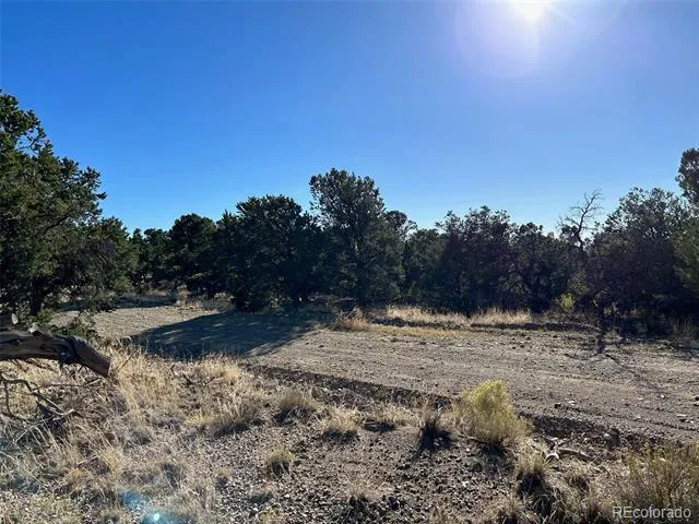 103 Indian Hill Road Mosca, CO 81146