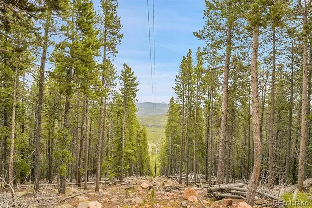 000 Mule Slide Trail Conifer, CO 80433