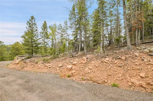 000 Mule Slide Trail Conifer, CO 80433