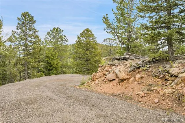 000 Mule Slide Trail Conifer, CO 80433