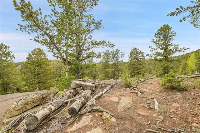 000 Mule Slide Trail Conifer, CO 80433