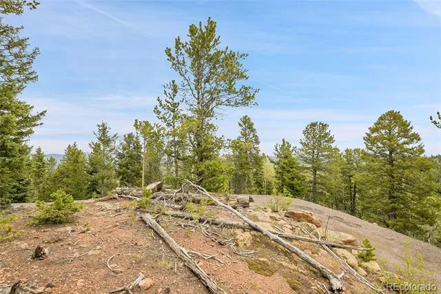 000 Mule Slide Trail Conifer, CO 80433