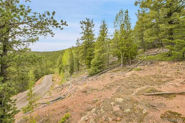 000 Mule Slide Trail Conifer, CO 80433