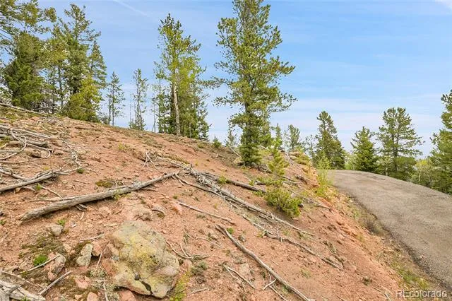 000 Mule Slide Trail Conifer, CO 80433