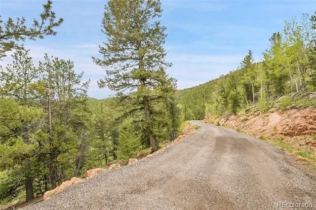 000 Mule Slide Trail Conifer, CO 80433