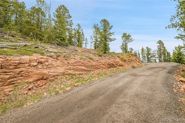 000 Mule Slide Trail Conifer, CO 80433