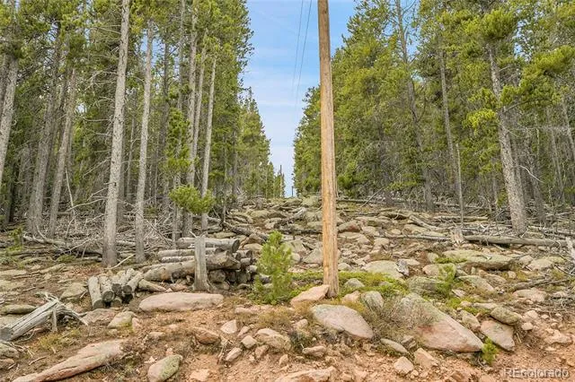 000 Mule Slide Trail Conifer, CO 80433