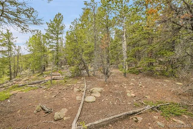 000 Mule Slide Trail Conifer, CO 80433