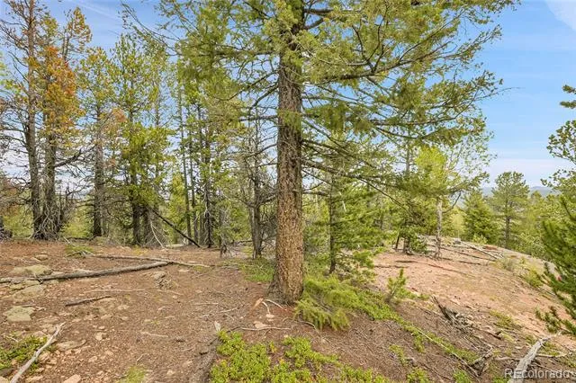 000 Mule Slide Trail Conifer, CO 80433