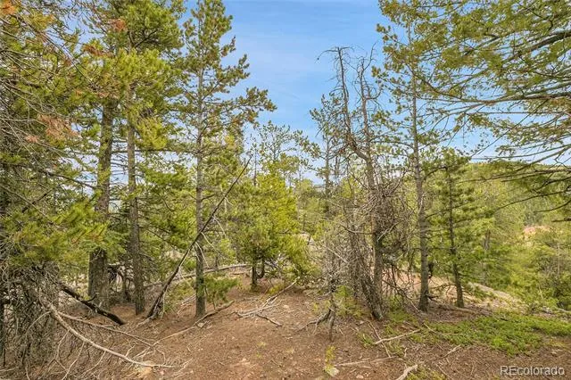 000 Mule Slide Trail Conifer, CO 80433