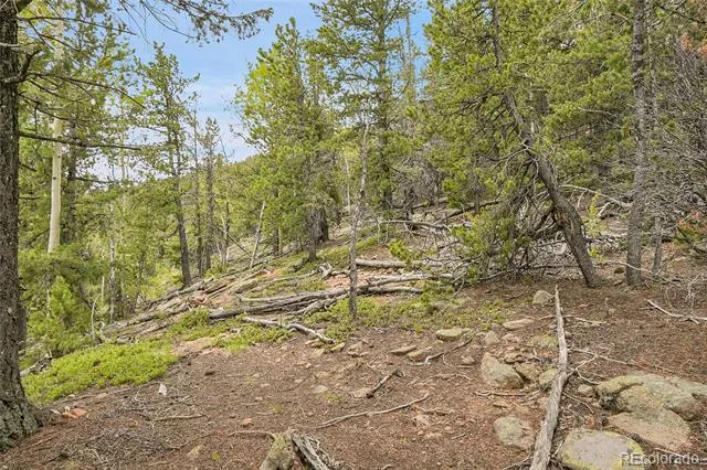 000 Mule Slide Trail Conifer, CO 80433