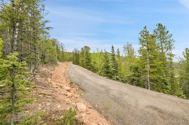 000 Mule Slide Trail Conifer, CO 80433