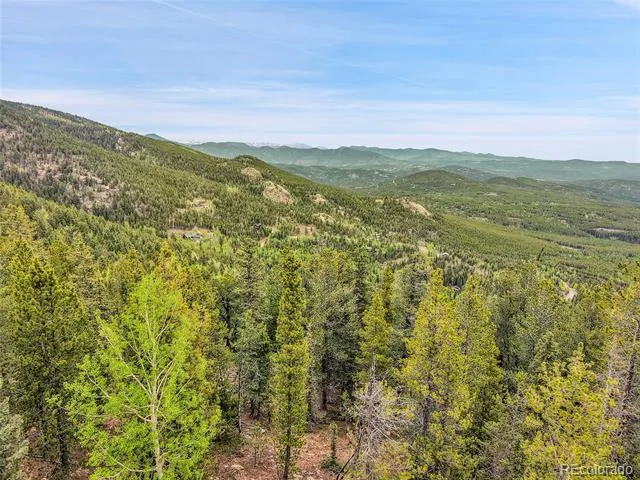 000 Mule Slide Trail Conifer, CO 80433
