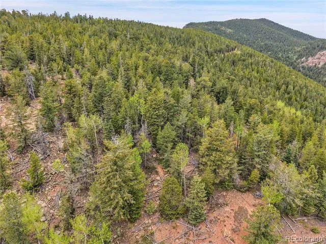 000 Mule Slide Trail Conifer, CO 80433