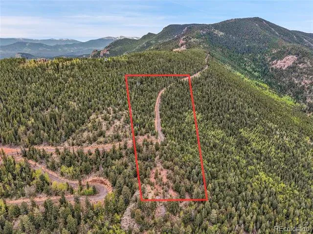 000 Mule Slide Trail Conifer, CO 80433