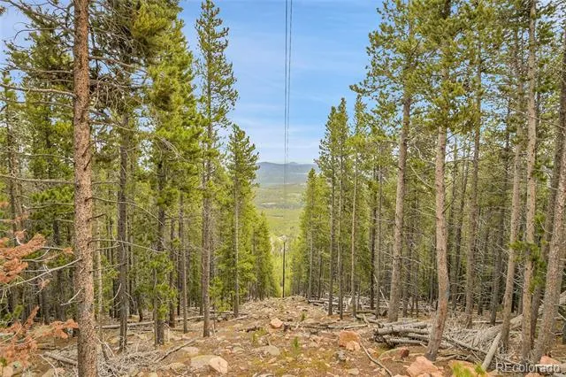 000 Mule Slide Trail Conifer, CO 80433