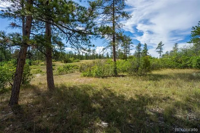 2367 Keep Drive Sedalia, CO 80135