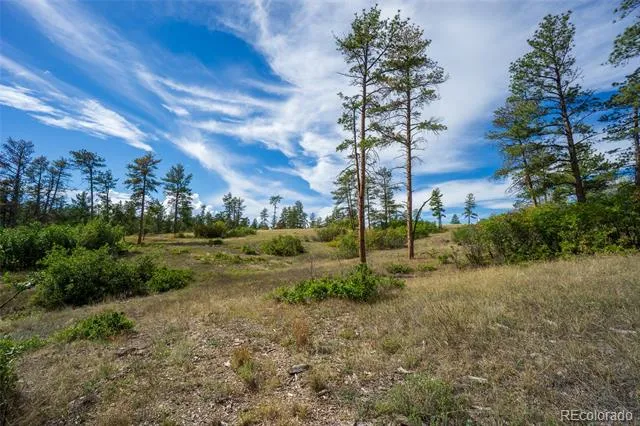 2367 Keep Drive Sedalia, CO 80135