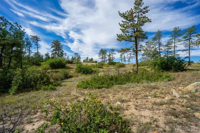 2367 Keep Drive Sedalia, CO 80135