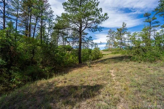 2367 Keep Drive Sedalia, CO 80135