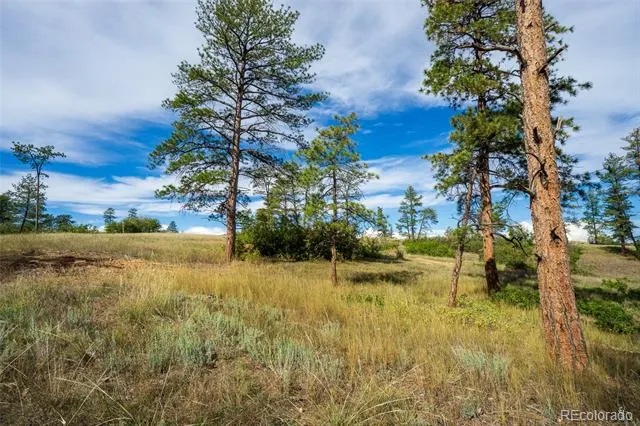 2367 Keep Drive Sedalia, CO 80135