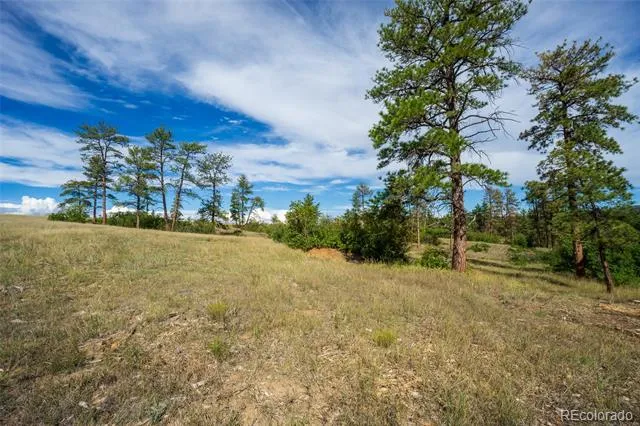 2367 Keep Drive Sedalia, CO 80135