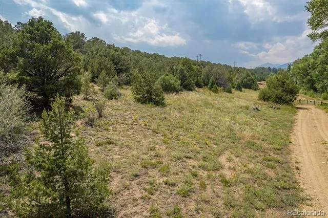 7925 Cozart Lane Salida, CO 81201