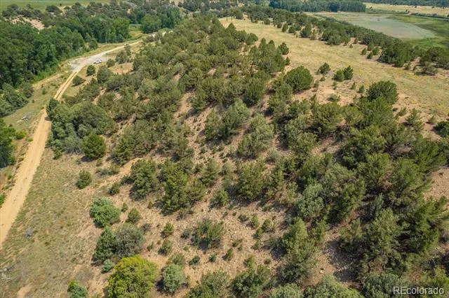 7925 Cozart Lane Salida, CO 81201