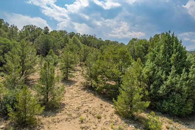 7925 Cozart Lane Salida, CO 81201