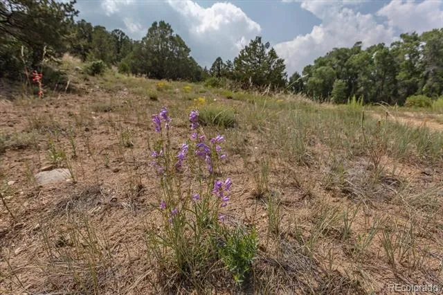 7925 Cozart Lane Salida, CO 81201