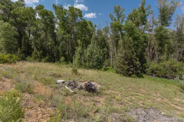 7925 Cozart Lane Salida, CO 81201