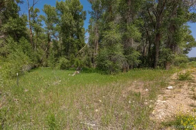 7925 Cozart Lane Salida, CO 81201