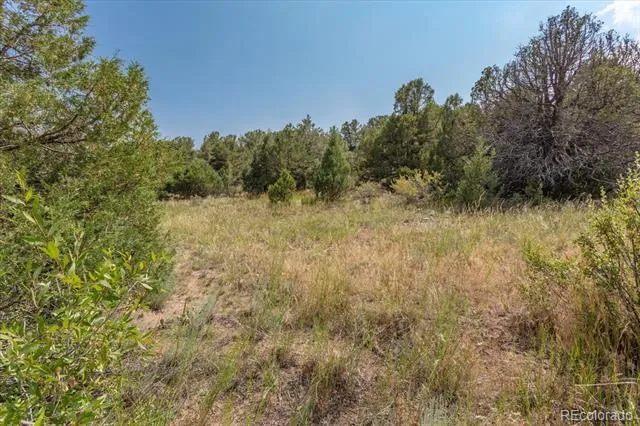 7925 Cozart Lane Salida, CO 81201