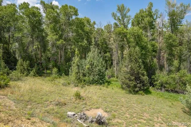 7925 Cozart Lane Salida, CO 81201
