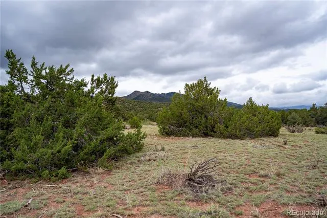 4 Lot Iron Handle Road Penrose, CO 81240