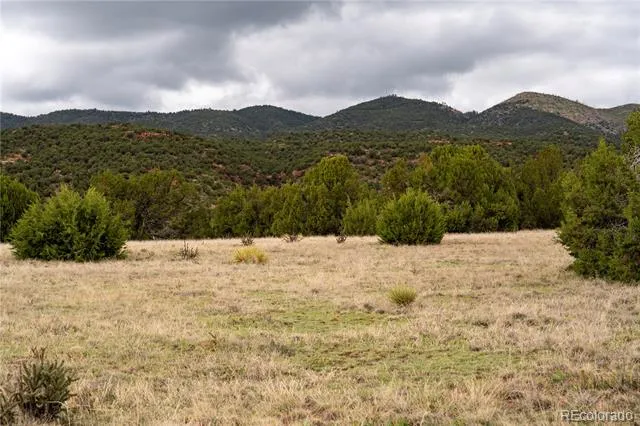 4 Lot Iron Handle Road Penrose, CO 81240