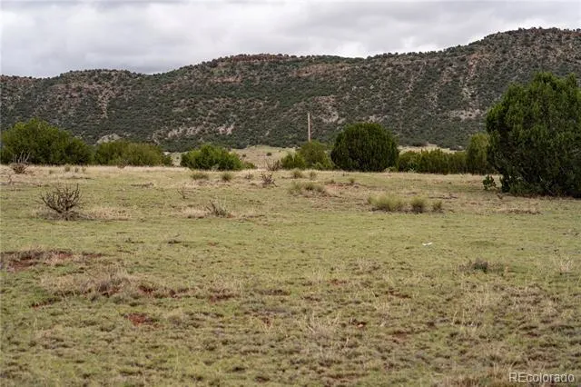 4 Lot Iron Handle Road Penrose, CO 81240