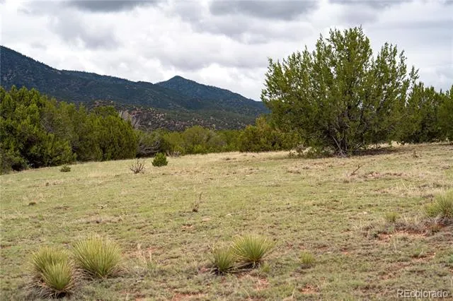 4 Lot Iron Handle Road Penrose, CO 81240
