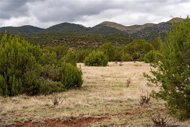 4 Lot Iron Handle Road Penrose, CO 81240
