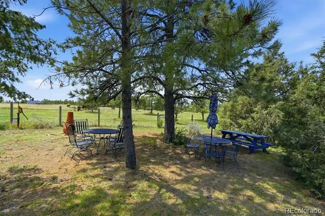 2219 Meadow Green Circle Franktown, CO 80116