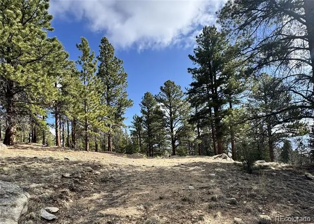 30317 Aspen Turn Buena Vista, CO 81211