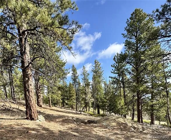 30317 Aspen Turn Buena Vista, CO 81211
